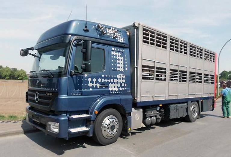 Доставка коровы автотранспортом из Хабаровска в Хабаровский край (р-наш имени Лазо)