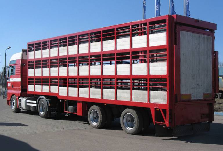 Прицеп для перевозки крупного рогатого скота из Мирной в Улеты